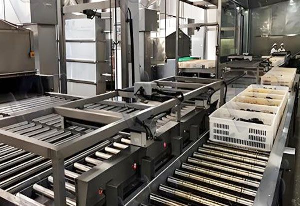 Roller conveyor line