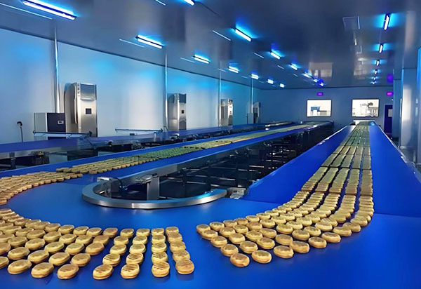 Belt conveyor line